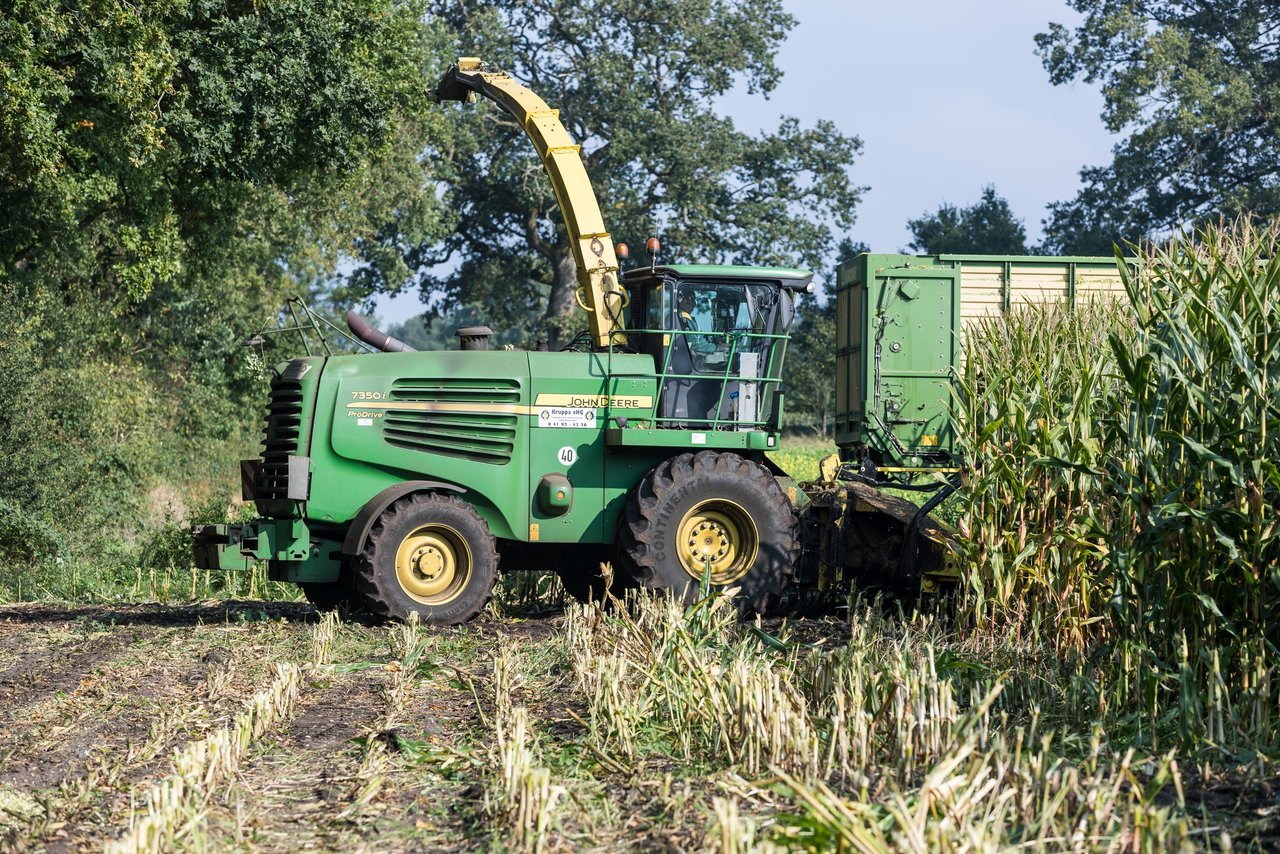 Bild 206 - Maisernte